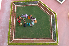 Park Top View